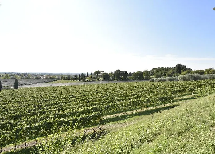 Le Palazzole Casa de hóspedes