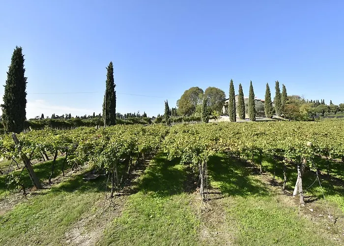 Le Palazzole 4* Colà